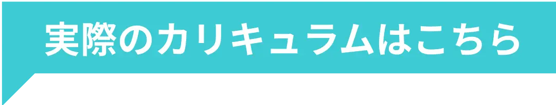 実際のカリキュラムはこちら